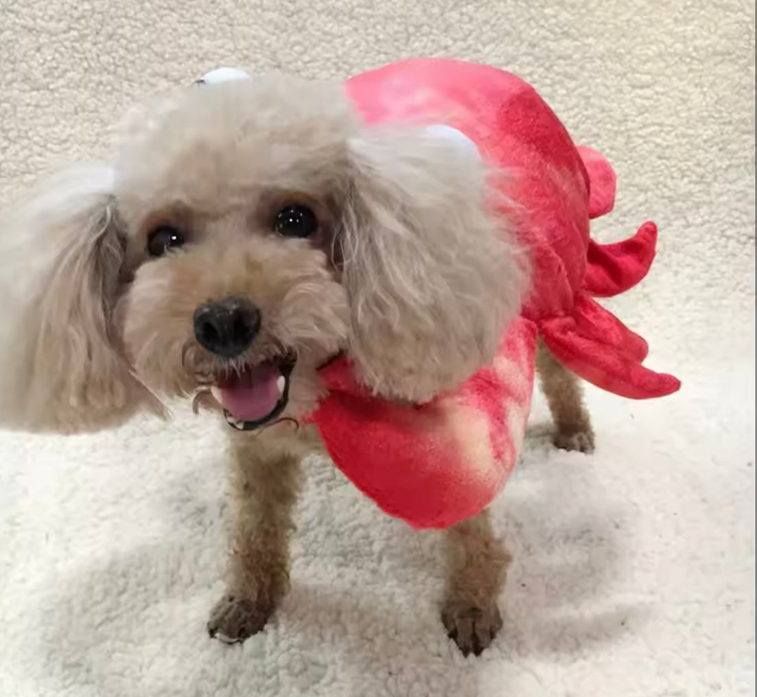CrabbyPaws Dog Coat