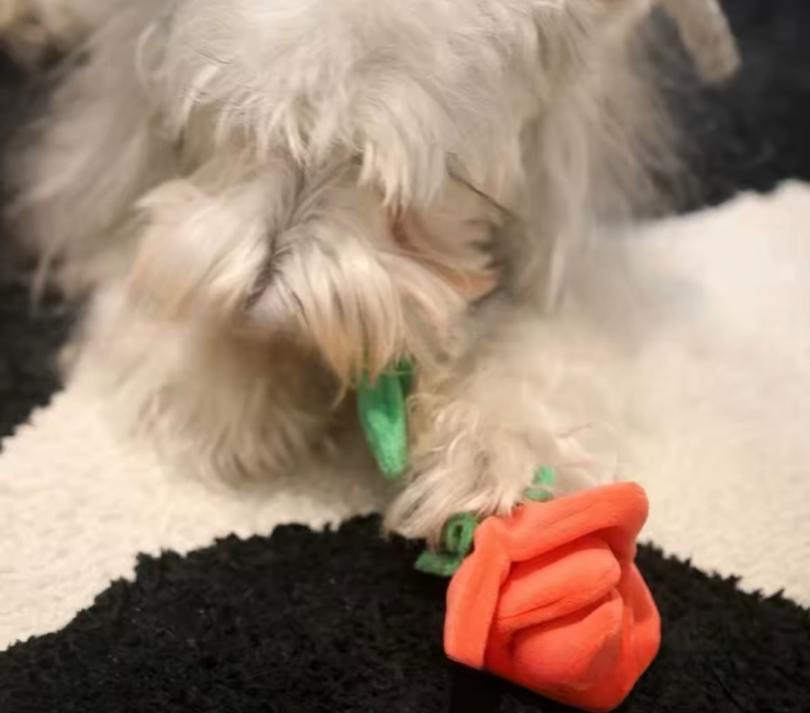 LovePaws Rose Bear Toy