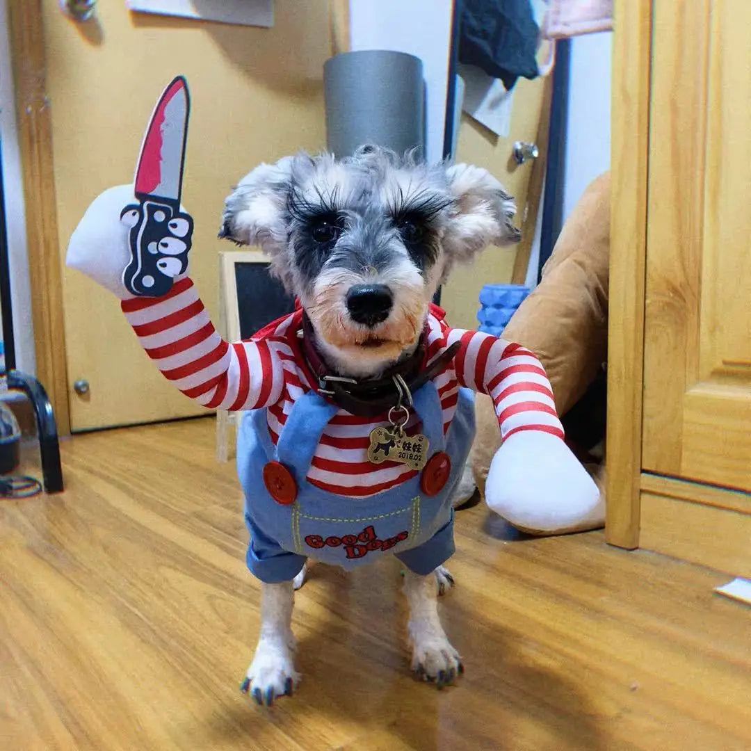 BooPaws Halloween Pet Costume Set