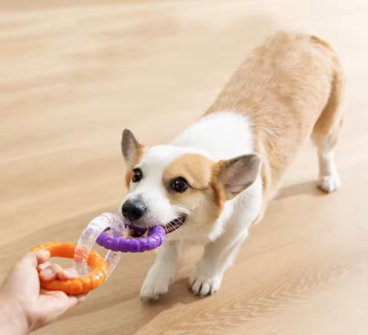 BiteRing Dental Dog Toy