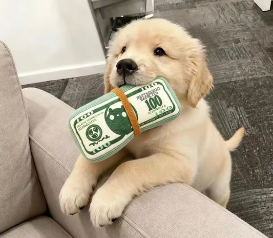 CashBite Dog Toy