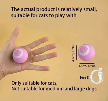 PawBall Smart Pet Toy