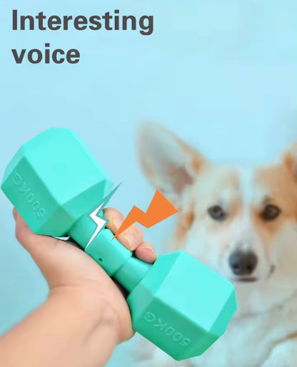 PowerPaws Training Barbell