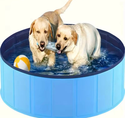 HydroPaws Pet Pool