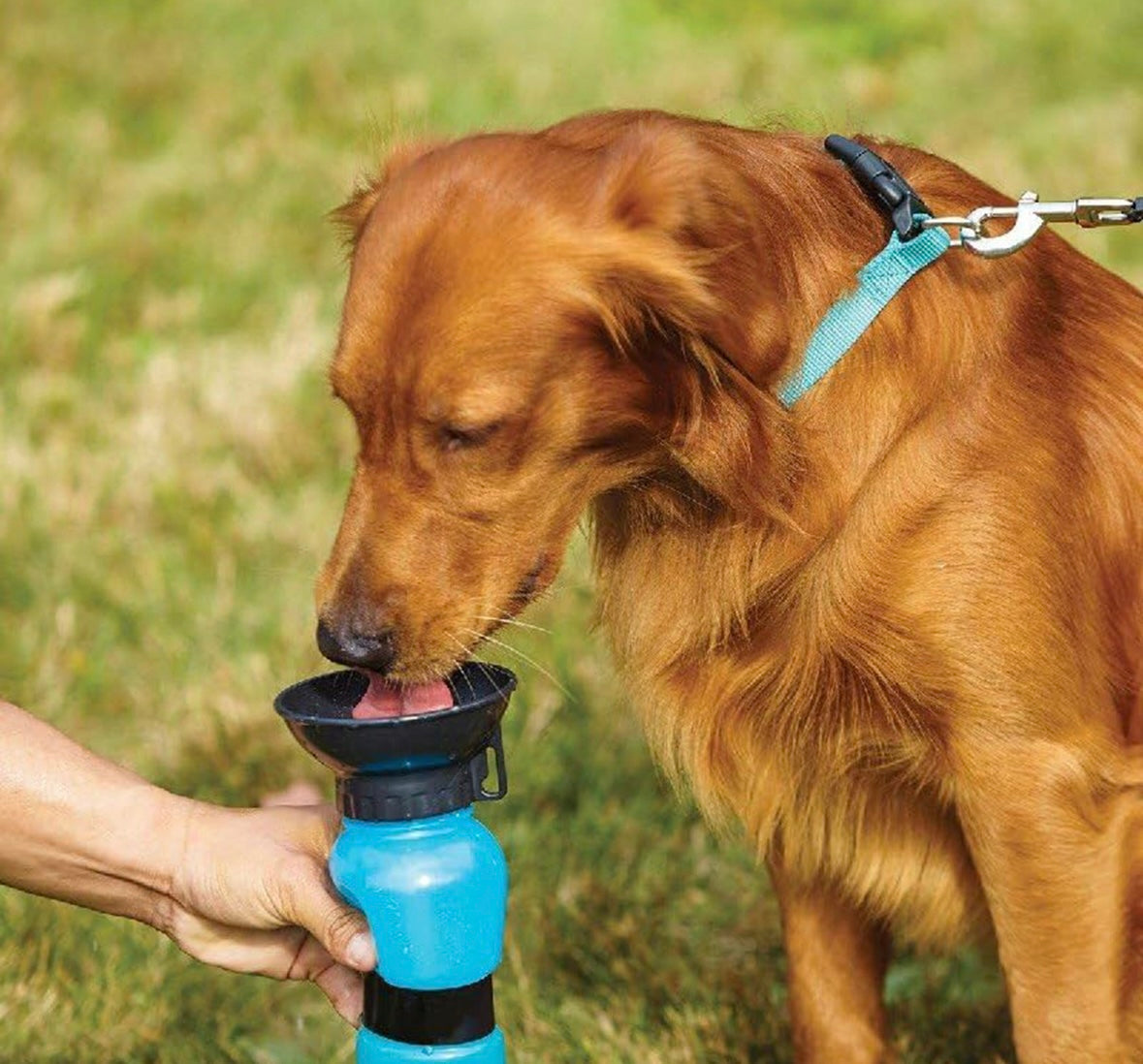 HydroPaw Travel Bottle