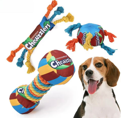 RainbowTwist Chew Toy