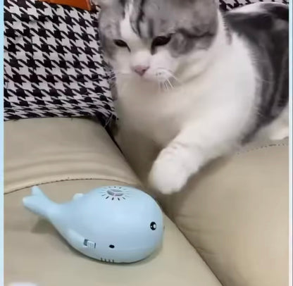 WhaleSpin Cat Toy