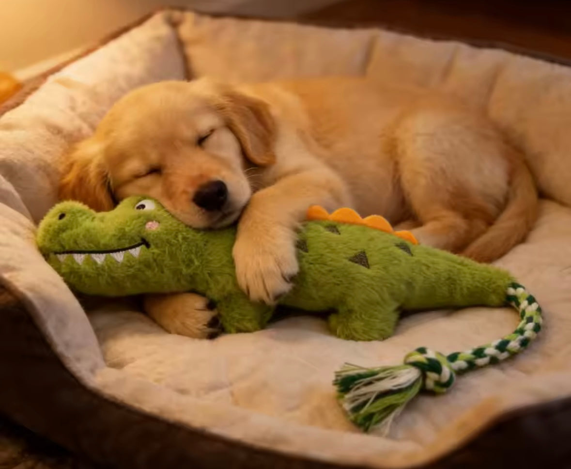 CrocPaws Rope Dog Toy