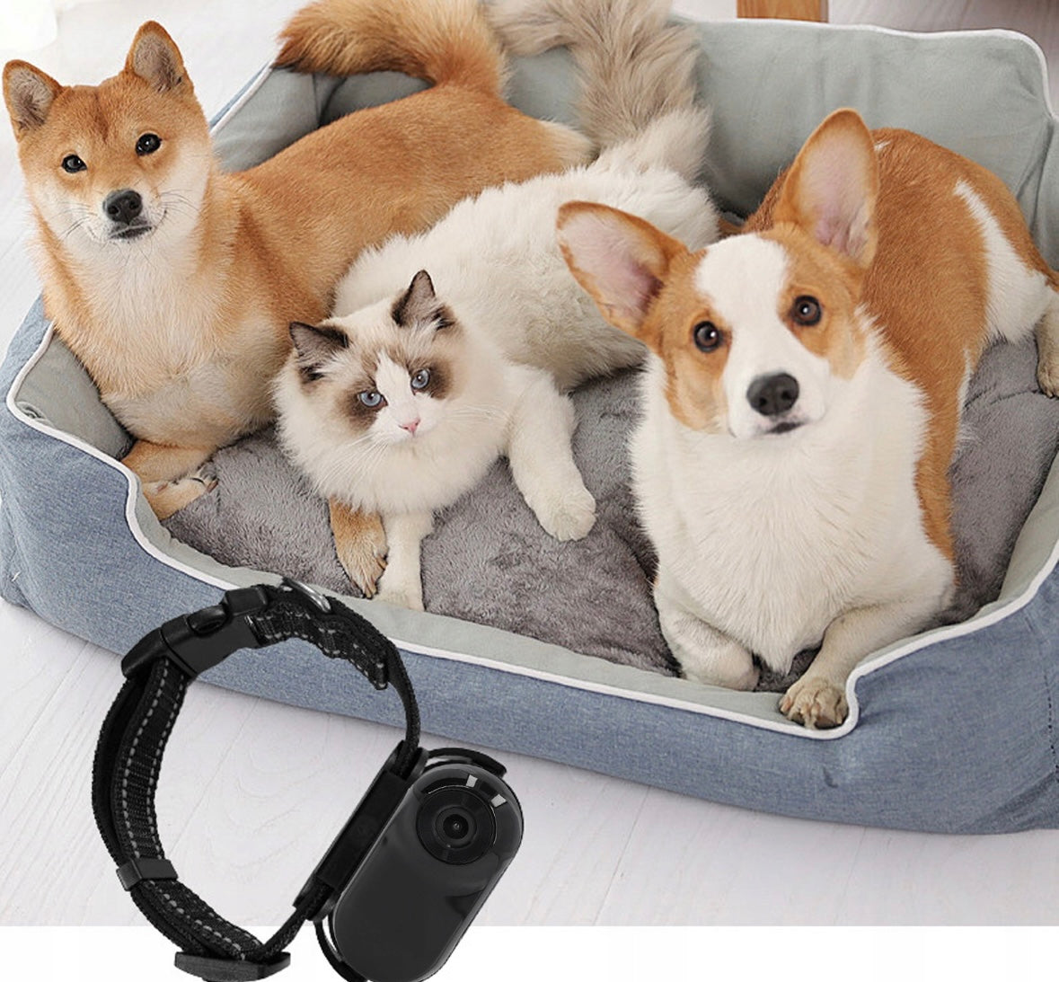 PawView Pet Cam