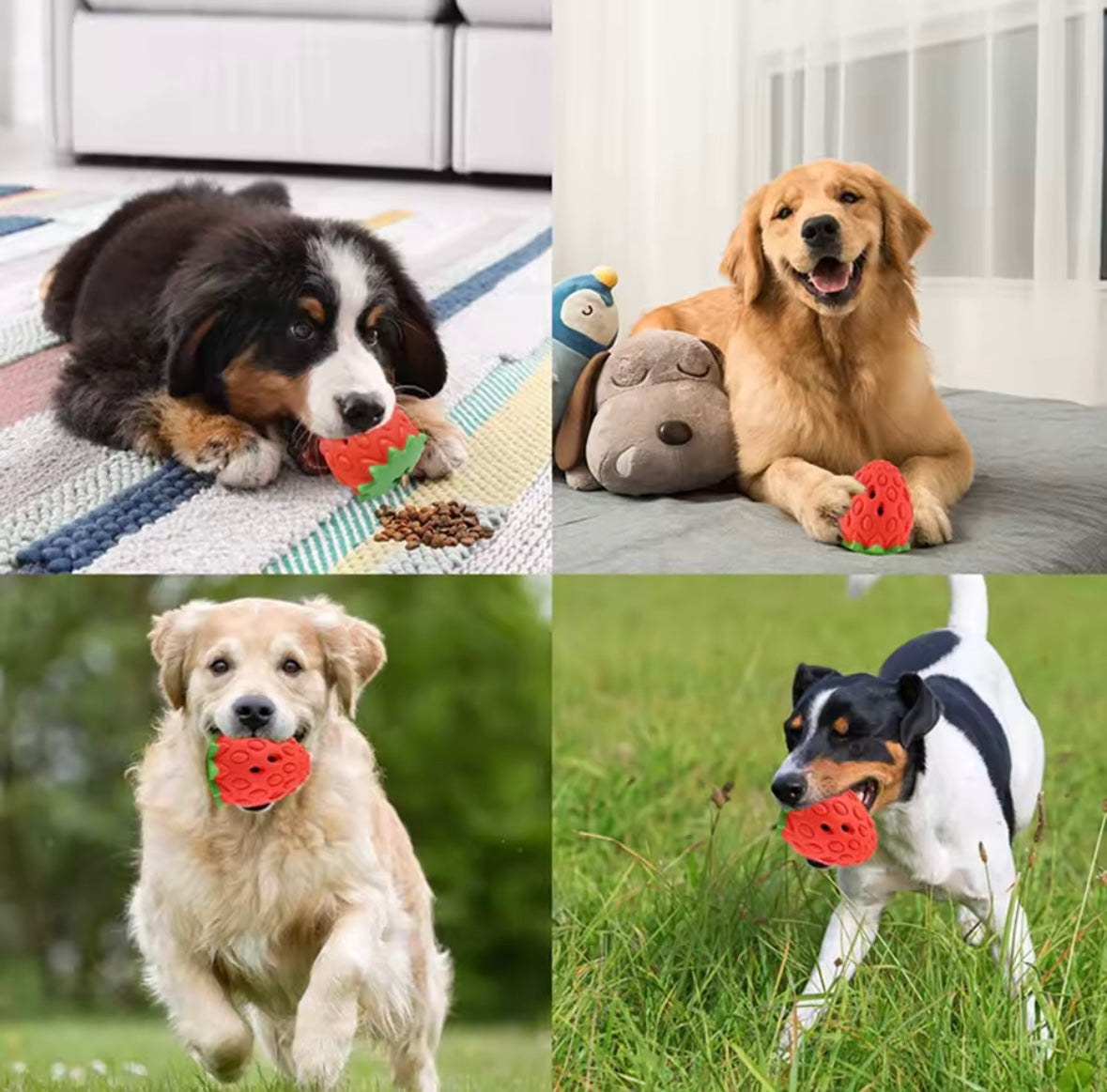 Strawberry Chew Toy