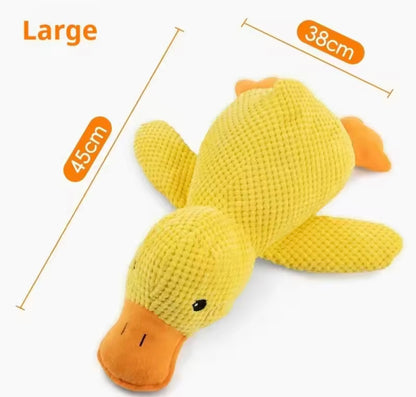 Duckie Squeak Toy