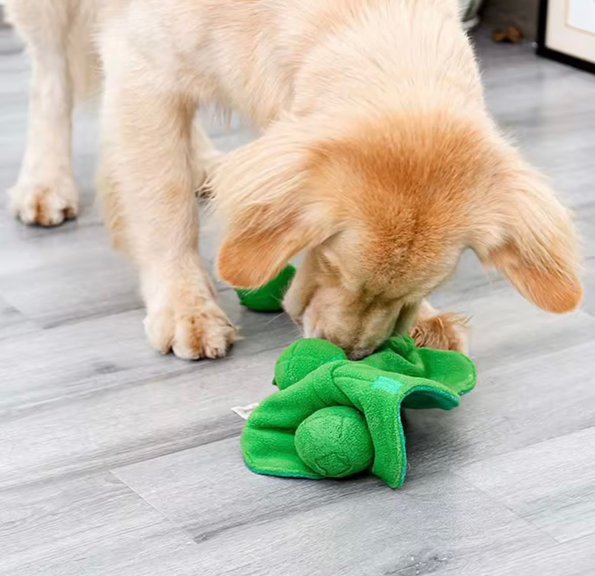 HappySniff Dog Toy