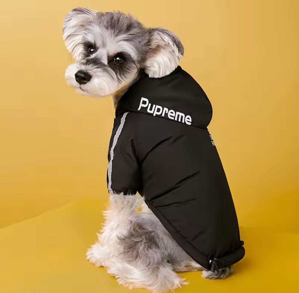 PawShield Dog Raincoat