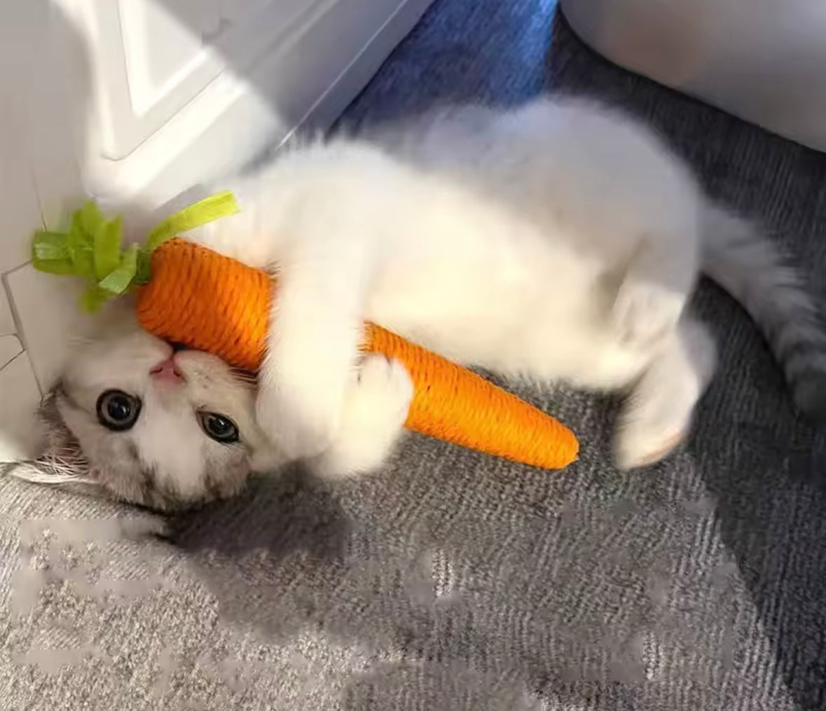 CarrotPlay Cat Toy