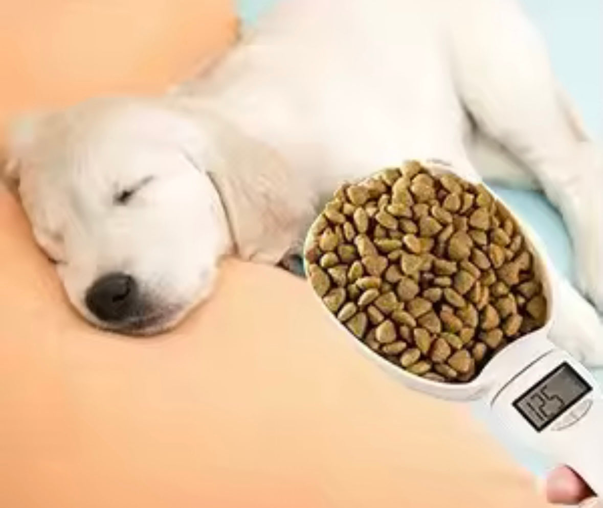 SmartPet Food Scoop