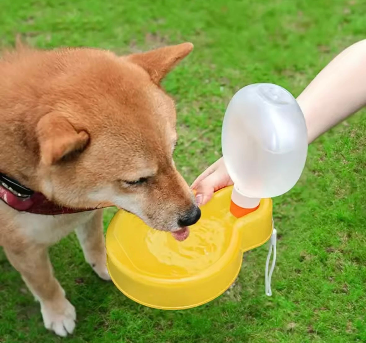 HydroPaws Travel Bottle
