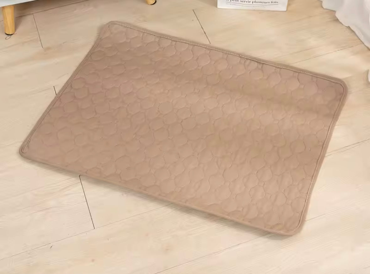 PawSoft Training Pad