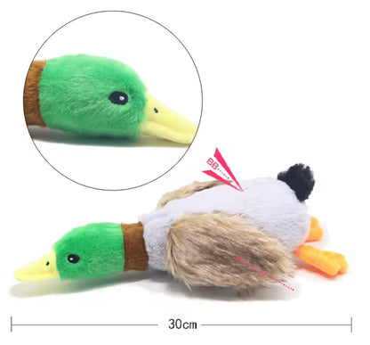 Quacky Dog Toy