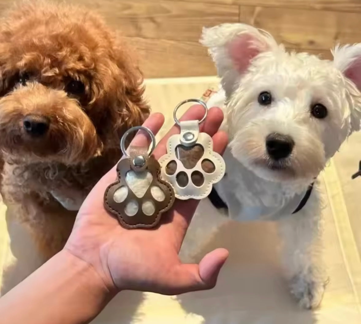 PawMemory Keychain