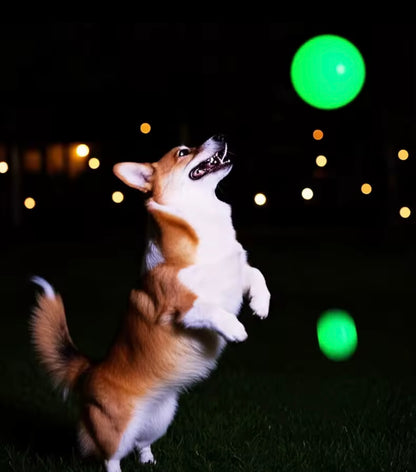 GlowBite Dog Chew Balls