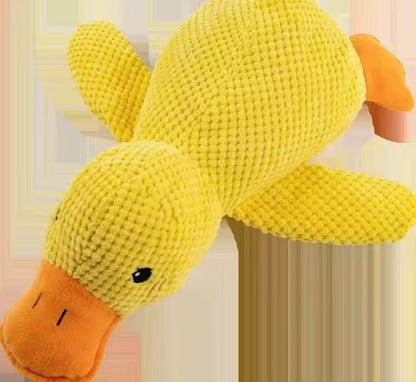 Duckie Squeak Toy
