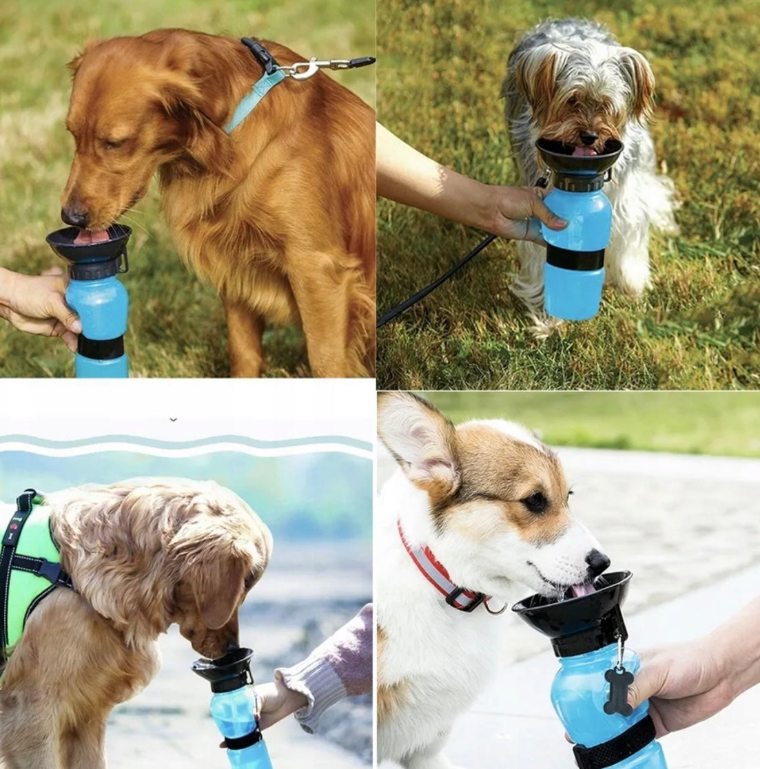 HydroPaw Travel Bottle