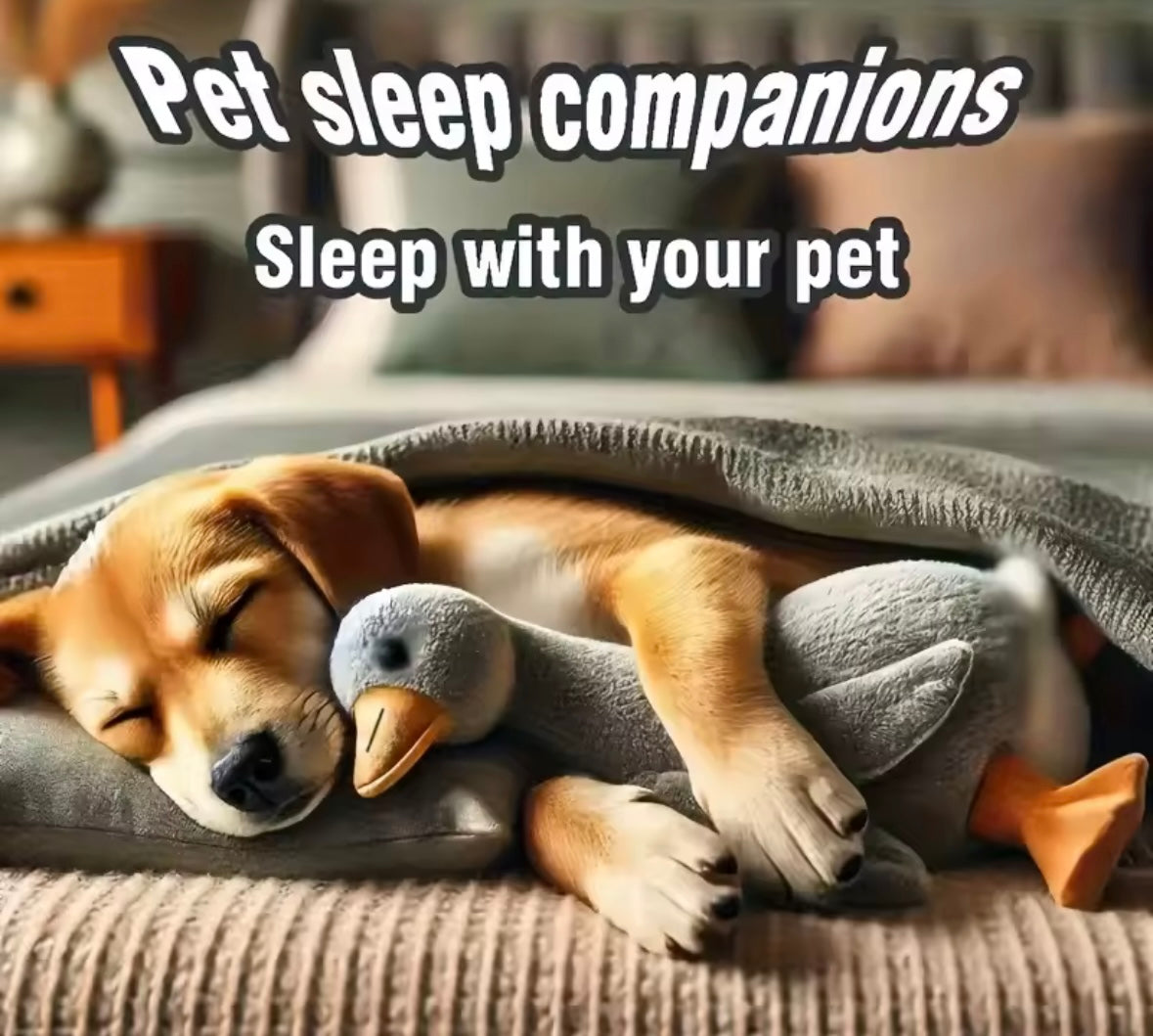 SnuggleDuck Plush Toy