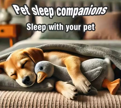 SnuggleDuck Plush Toy