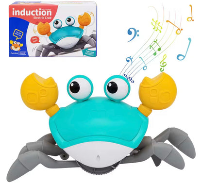 CrabbyChew Toy