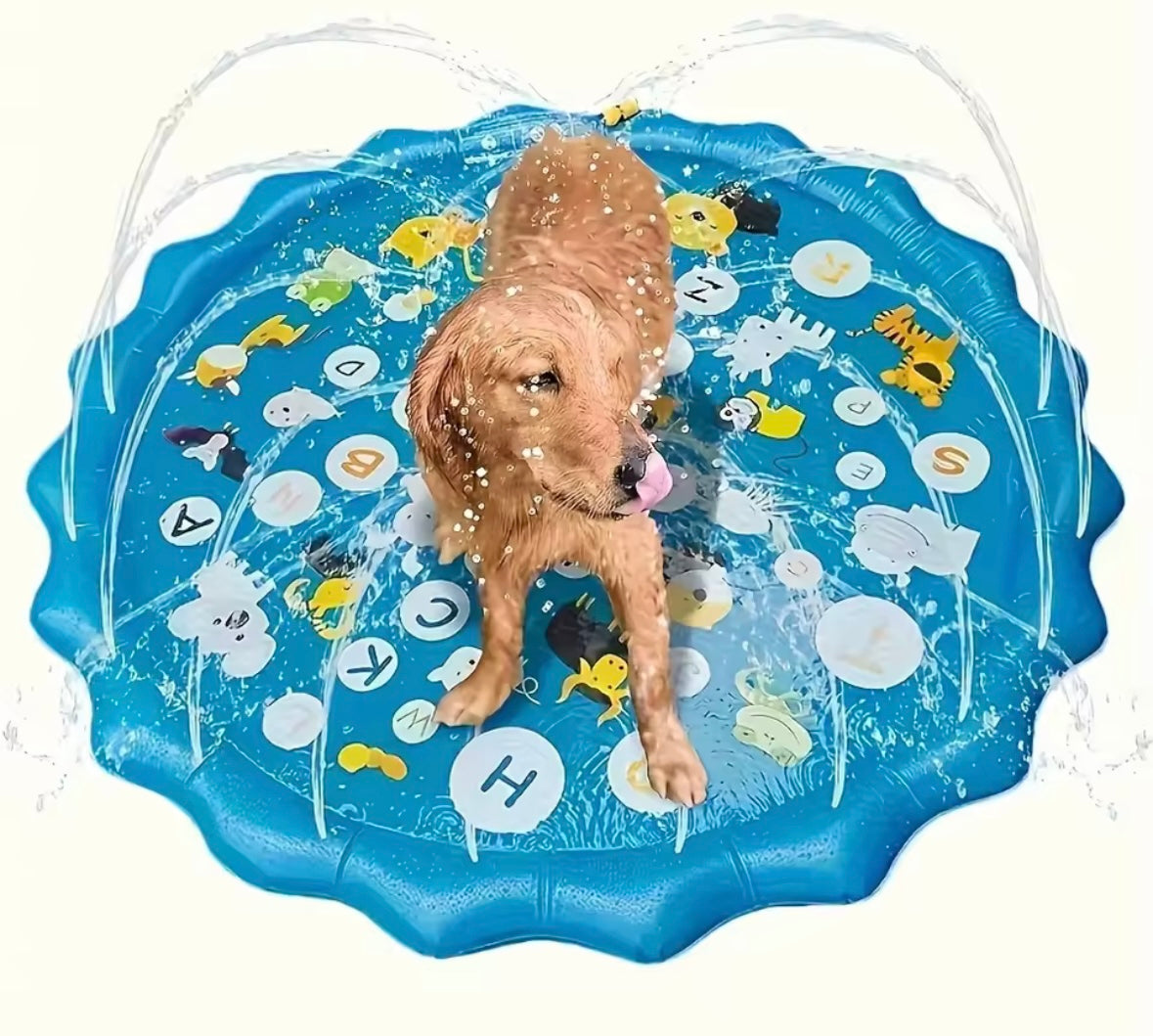 AquaSpray Pet Hose