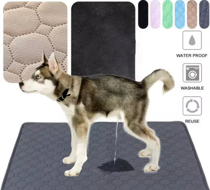 PawSoft Training Pad