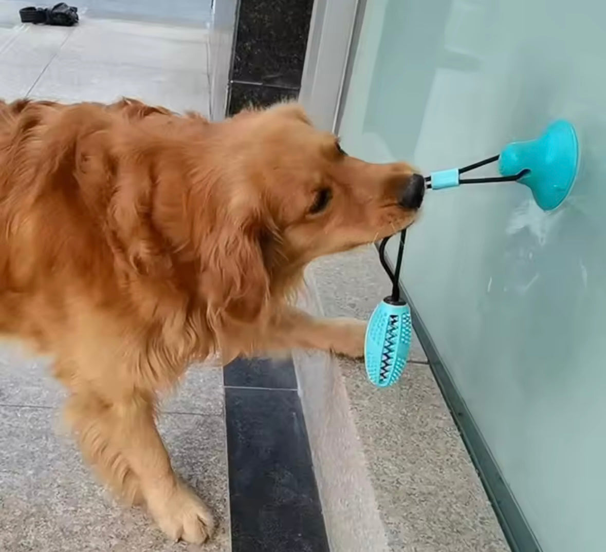 TugMax Chew Toy
