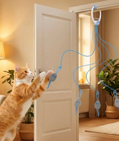 DoorPlay Cat Toy