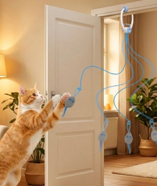 DoorPlay Cat Toy
