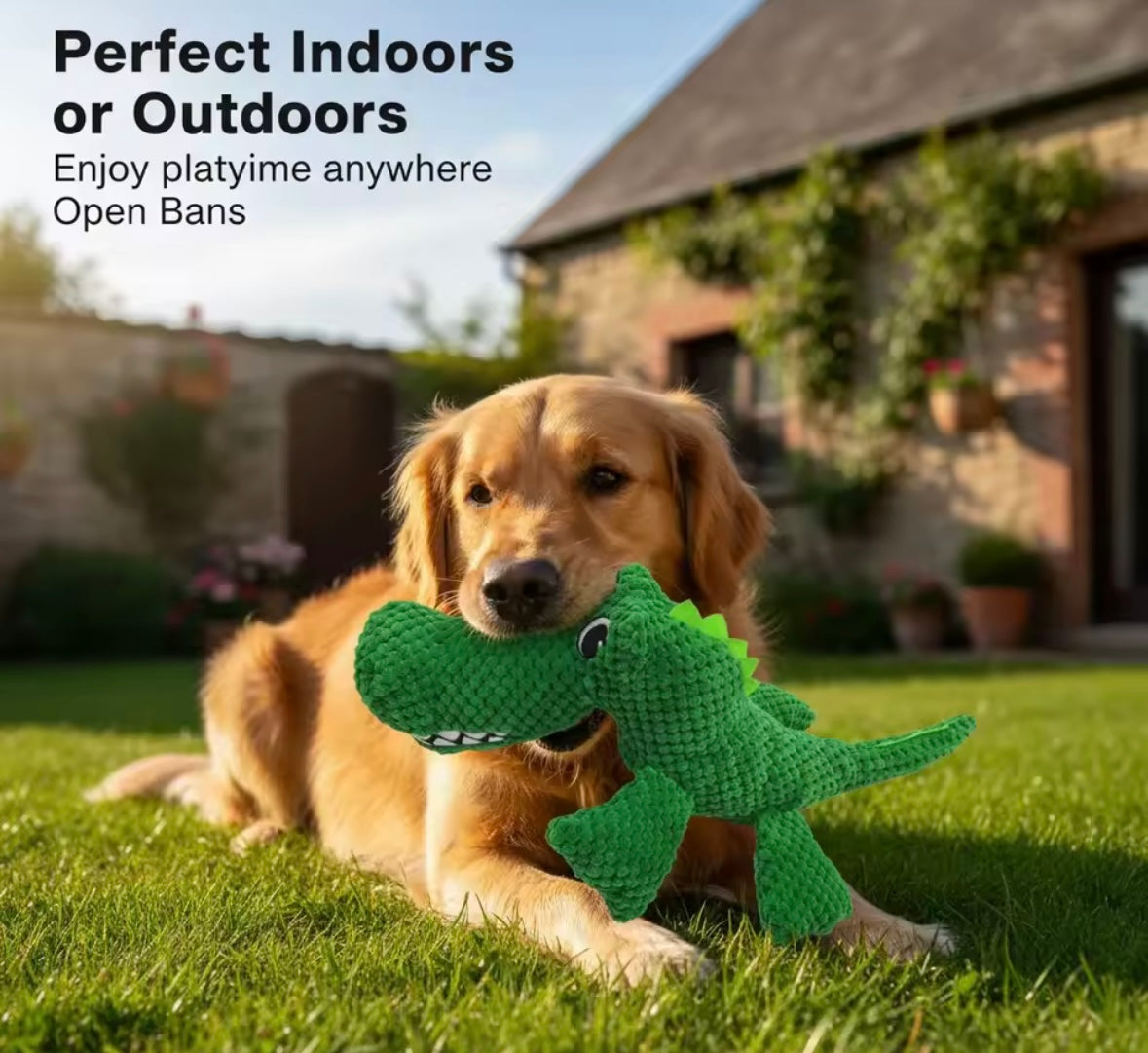 CrocPaws Dog Toy