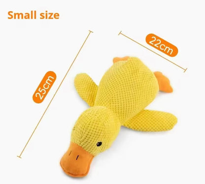 Duckie Squeak Toy