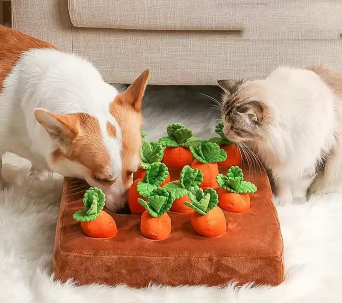 CarrotPaws Dog Toy Mat