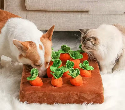 CarrotPaws Dog Toy Mat