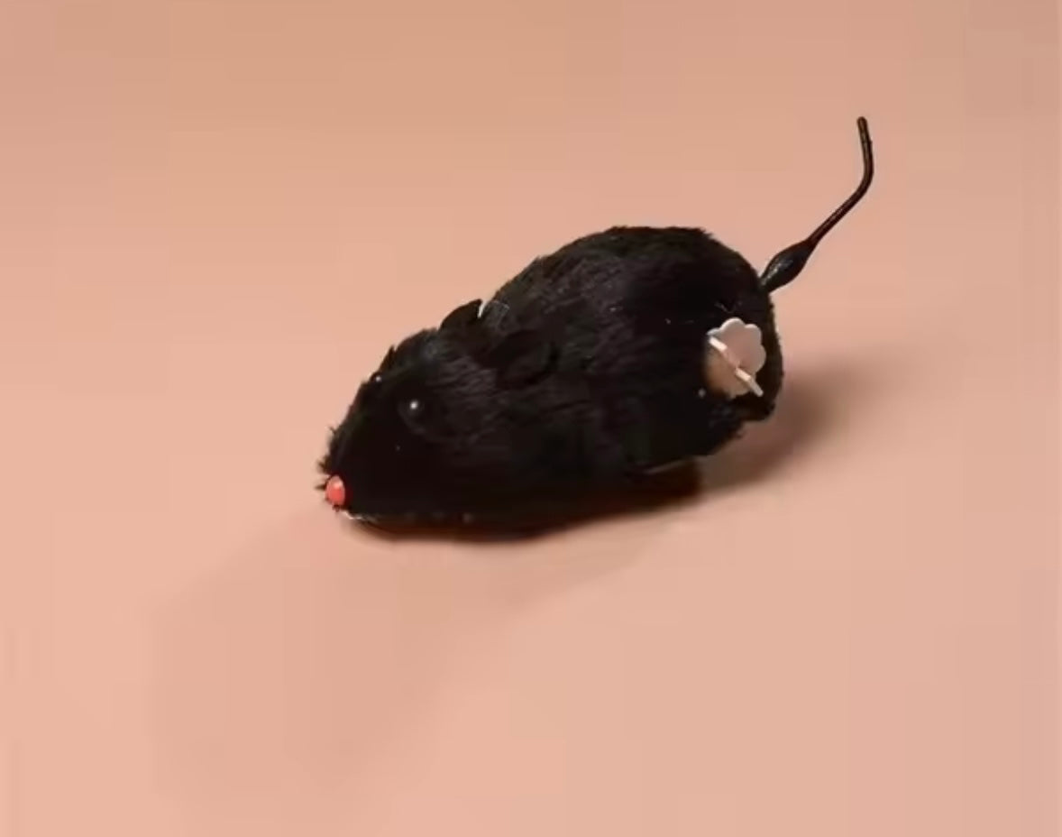ChaseMouse Cat Toy