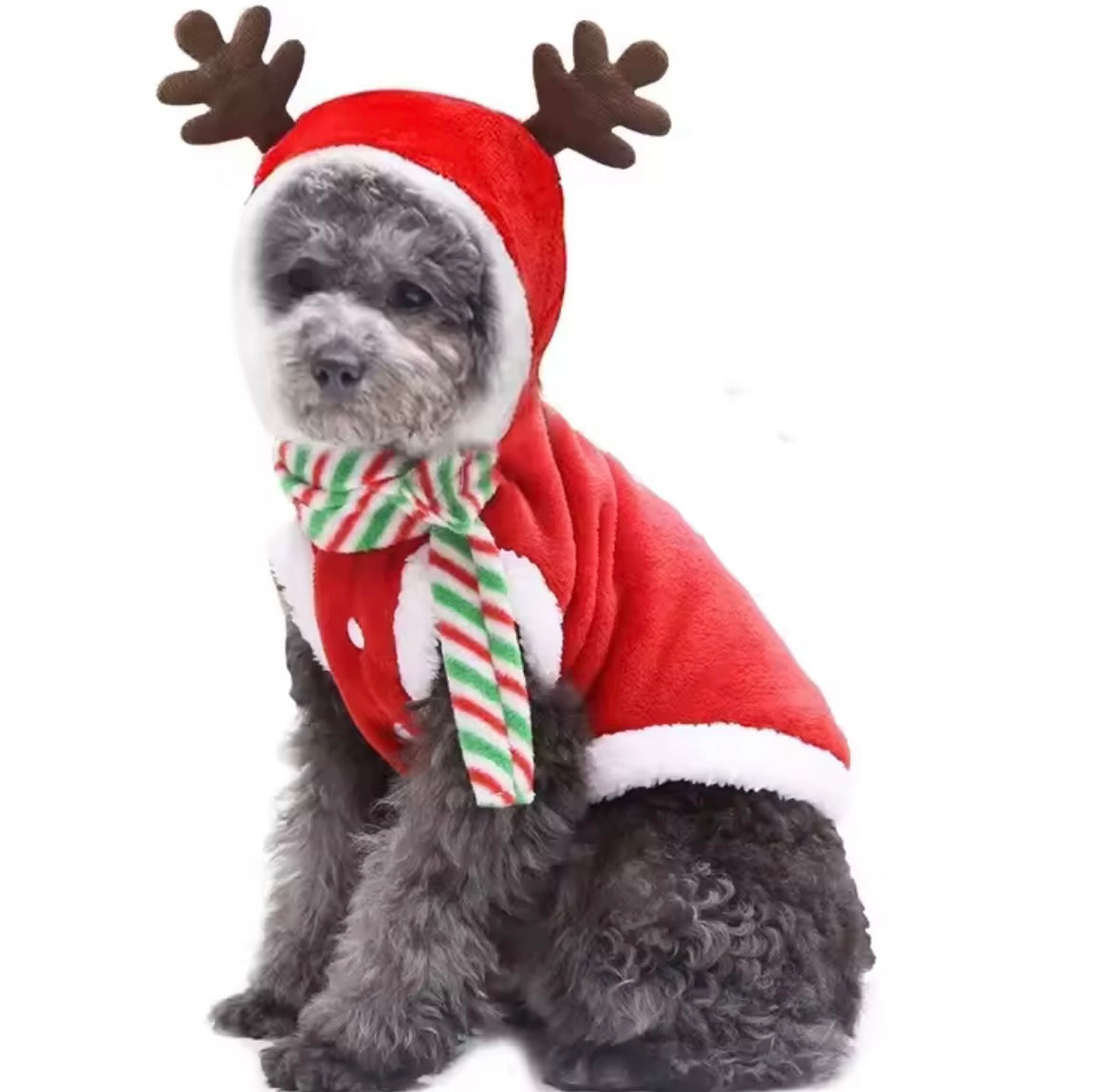 SantaPaws Pet Coat