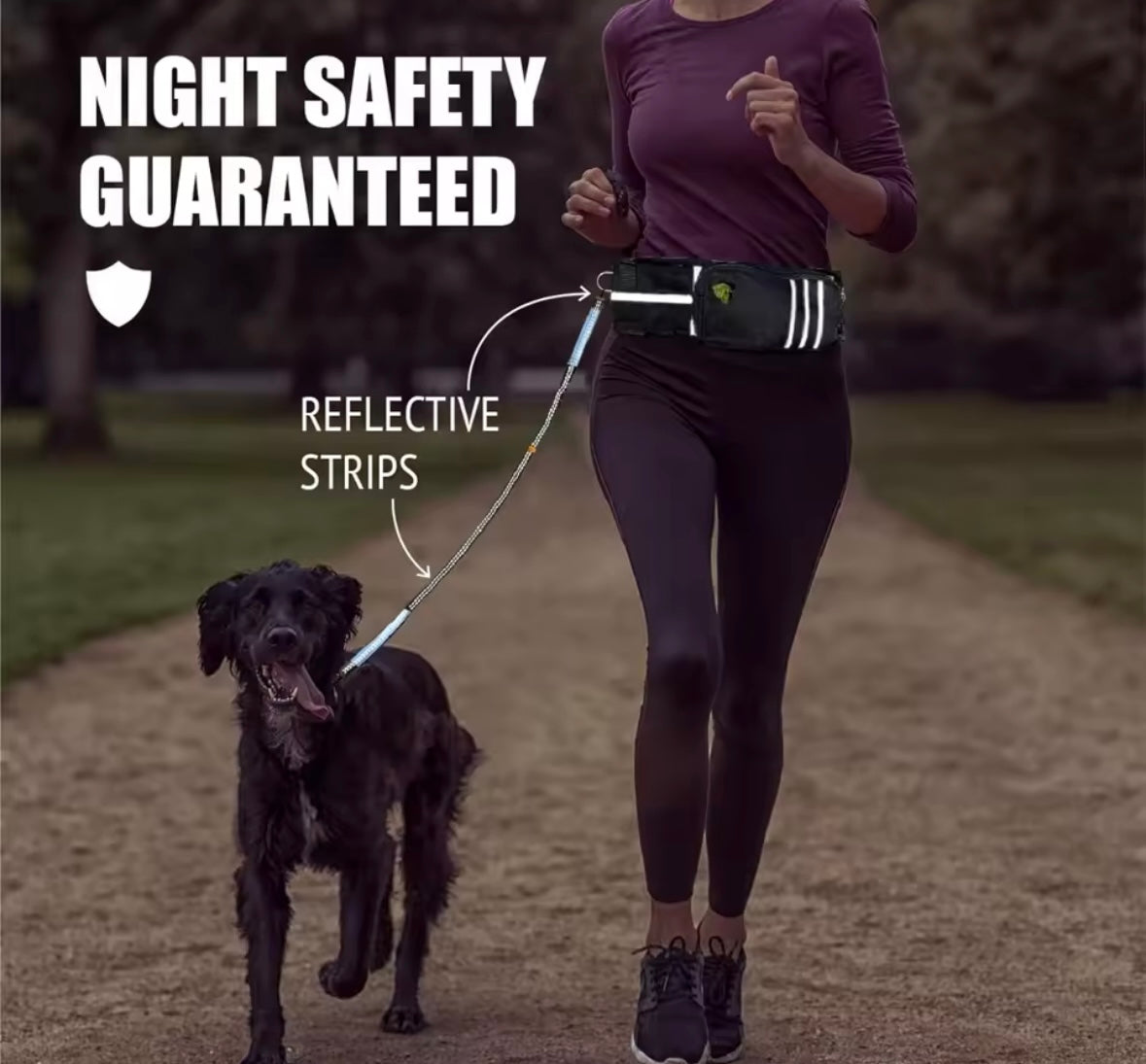 WaistLeash Retractable Dog Leash