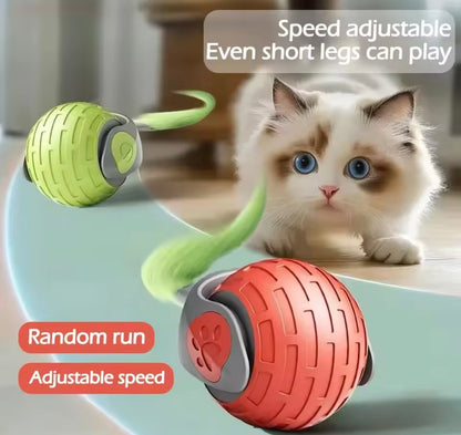 PawBall Smart Pet Toy