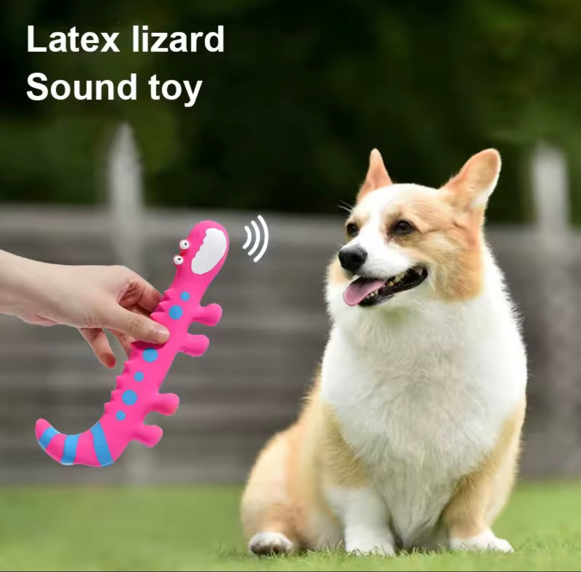 SqueakyLizard Play
