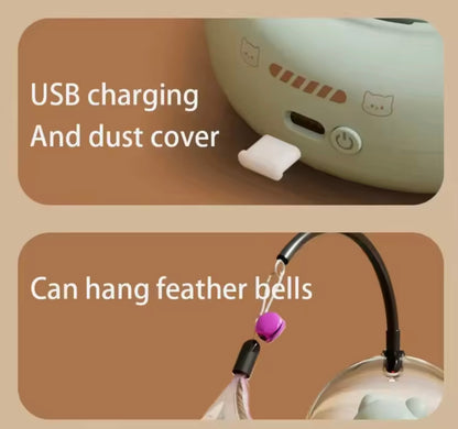 LaserPurr Cat Toy