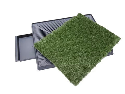GrassPaws Indoor Dog Potty