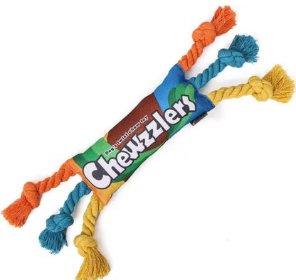 RainbowTwist Chew Toy