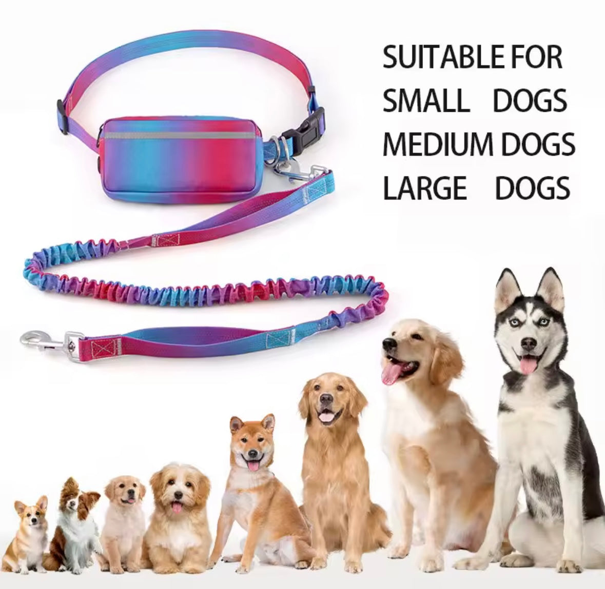 HandsFree Dog Leash Pro