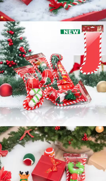 SantaPaws Stocking