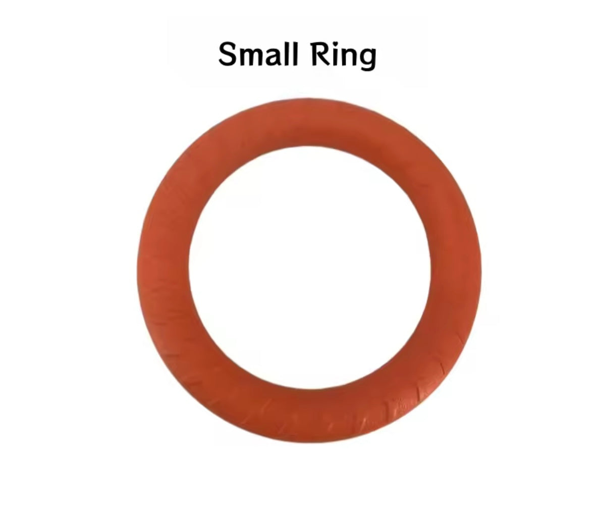 AquaBite Dog Toy