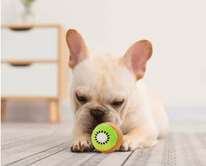 FruitPaws Dental Toy